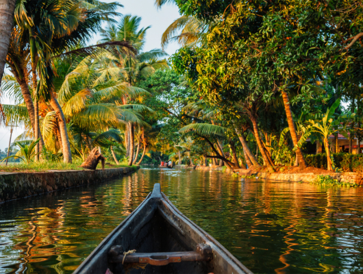 Kerala Backwaters